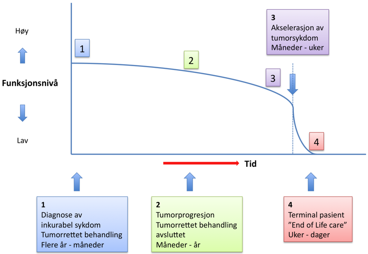 Palliativ Behandling – Definisjon - Helsedirektoratet